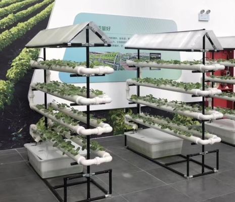 sistema de cultivo hidropónico comercial NFT estufa canal hidropónico NFT