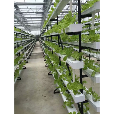 Novo sistema de estufa de hidroponia NFT com kit de cultivo de tubos de PVC para interiores e jardins