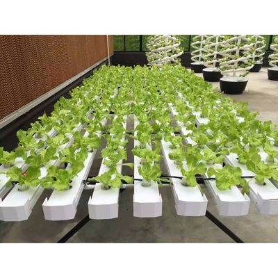 Novo sistema de estufa de hidroponia NFT com kit de cultivo de tubos de PVC para interiores e jardins