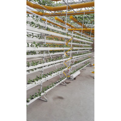 Novo sistema de estufa de hidroponia NFT com kit de cultivo de tubos de PVC para interiores e jardins