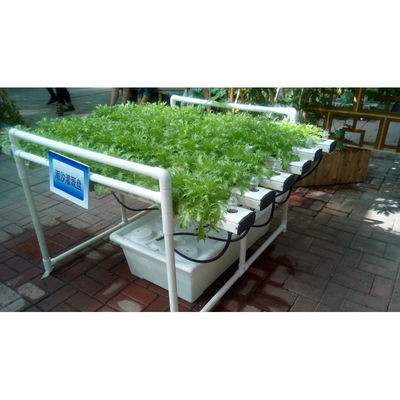 Novo sistema de estufa de hidroponia NFT com kit de cultivo de tubos de PVC para interiores e jardins