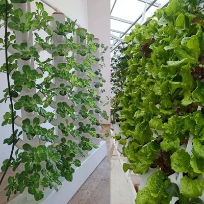Perfeita coluna vertical sistema de plantação hidropônico aeropônico torre de crescimento aeropônica