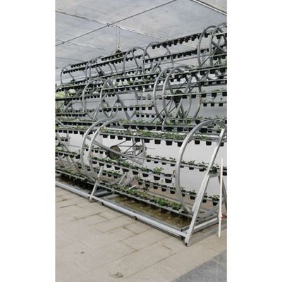 Sistemas de cultivo hidropónicos rotativos Aquapônicos para o cultivo de vegetais