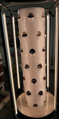 Sistema hidropónico Torre aeropónicaJardim hidropónico rotativo para vegetais de folhas