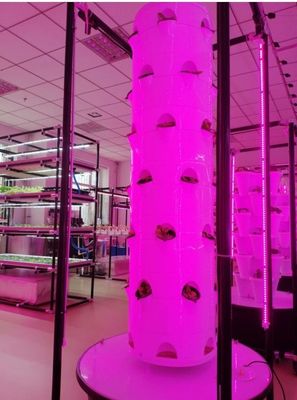 Sistema hidropónico Torre aeropónicaJardim hidropónico rotativo para vegetais de folhas