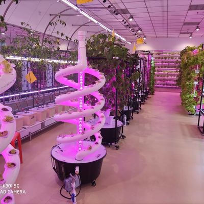 Sistema de cultivo hidropônico de jardim interior de dupla hélice