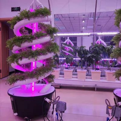 Planta em espiral vertical Crescer torre hidropônica Cultivo de jardim Sistema aeropônico