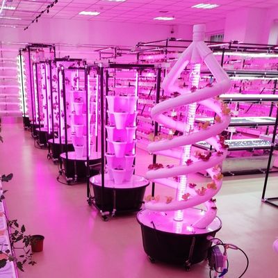 Planta em espiral vertical Crescer torre hidropônica Cultivo de jardim Sistema aeropônico