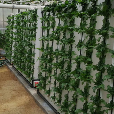 Hidroponia comercial Nft Sistema de cultivo vertical de morangos e flores Zipgrow Tower