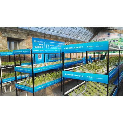 Aquaponia Sistema de cultivo hidropónico de estufa Tanque de peixe para peixe e vegetais