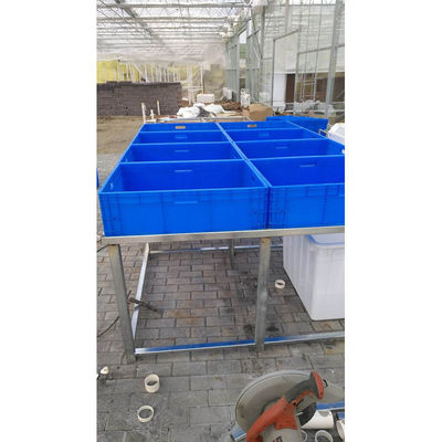 Aquaponia Sistema de cultivo hidropónico de estufa Tanque de peixe para peixe e vegetais