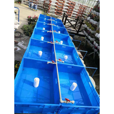 Aquaponia Sistema de cultivo hidropónico de estufa Tanque de peixe para peixe e vegetais