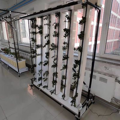 Hidroponia comercial Nft Sistema de cultivo vertical de morangos e flores Zipgrow Tower