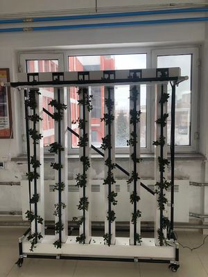 Hidroponia comercial Nft Sistema de cultivo vertical de morangos e flores Zipgrow Tower
