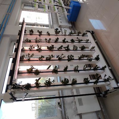Hidroponia comercial Nft Sistema de cultivo vertical de morangos e flores Zipgrow Tower